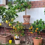 Charlotte Bad Liebenstein