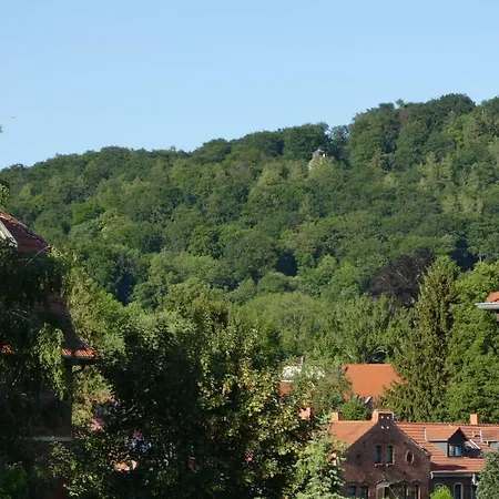 Villa Charlotte *