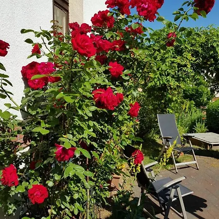 Villa Charlotte Bad Liebenstein