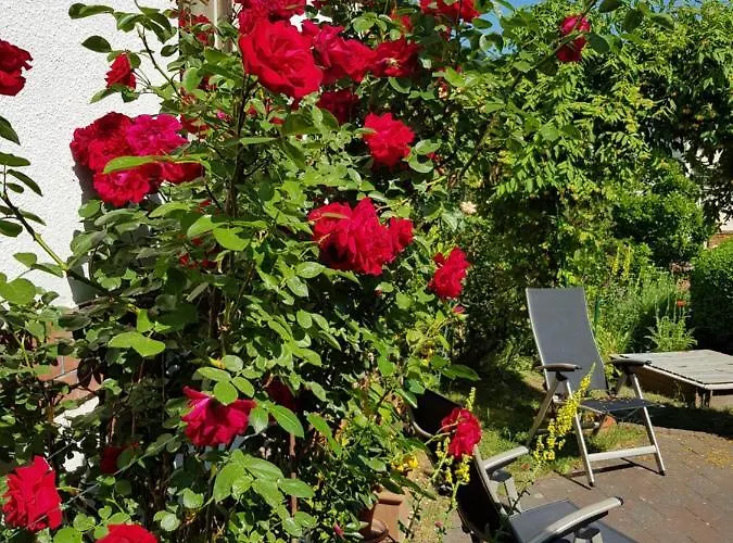 Villa Charlotte Bad Liebenstein